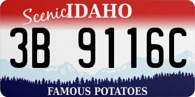 ID license plate 3B9116C