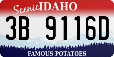 ID license plate 3B9116D