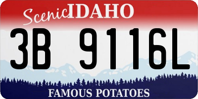 ID license plate 3B9116L