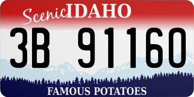 ID license plate 3B9116O