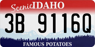 ID license plate 3B9116Q