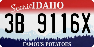 ID license plate 3B9116X
