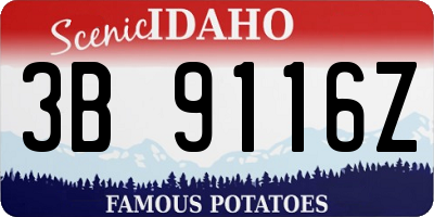 ID license plate 3B9116Z