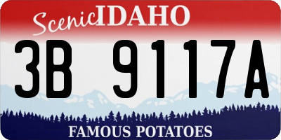 ID license plate 3B9117A