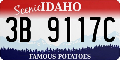 ID license plate 3B9117C