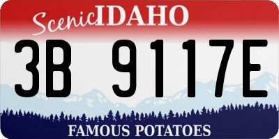 ID license plate 3B9117E