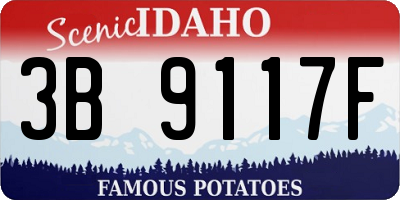 ID license plate 3B9117F