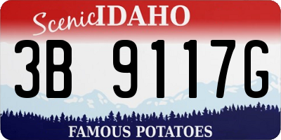 ID license plate 3B9117G