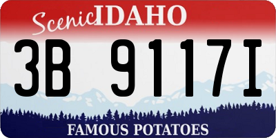 ID license plate 3B9117I