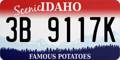 ID license plate 3B9117K