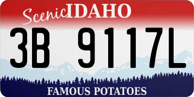 ID license plate 3B9117L