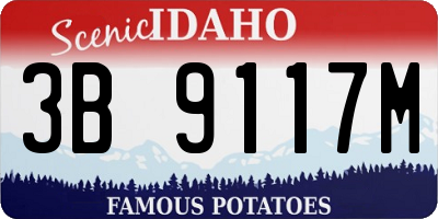 ID license plate 3B9117M