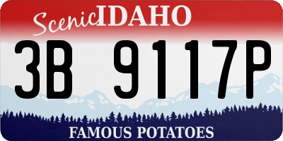 ID license plate 3B9117P