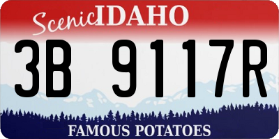 ID license plate 3B9117R