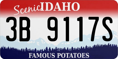 ID license plate 3B9117S