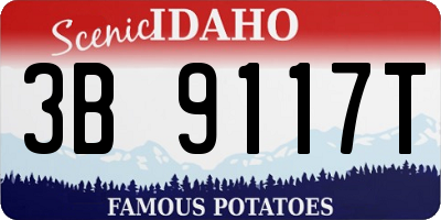 ID license plate 3B9117T
