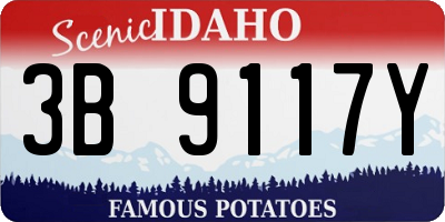 ID license plate 3B9117Y