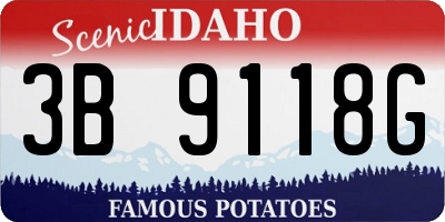 ID license plate 3B9118G
