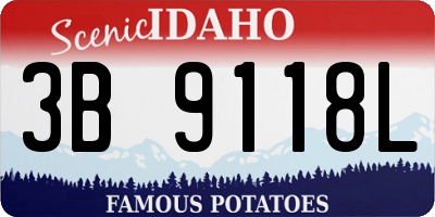ID license plate 3B9118L