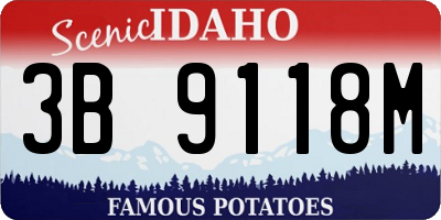 ID license plate 3B9118M