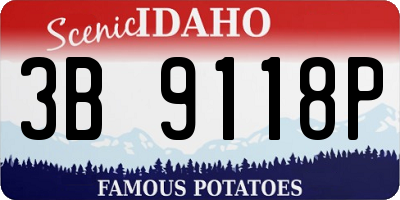 ID license plate 3B9118P