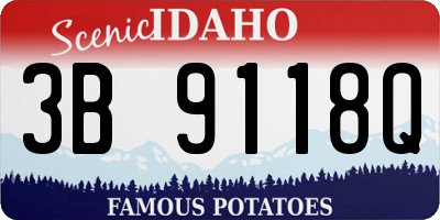 ID license plate 3B9118Q