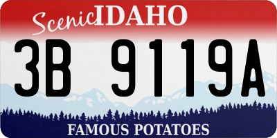 ID license plate 3B9119A