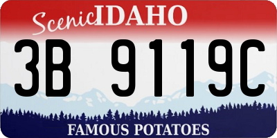 ID license plate 3B9119C