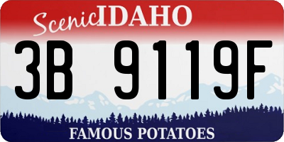 ID license plate 3B9119F