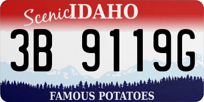ID license plate 3B9119G