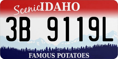 ID license plate 3B9119L