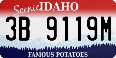 ID license plate 3B9119M