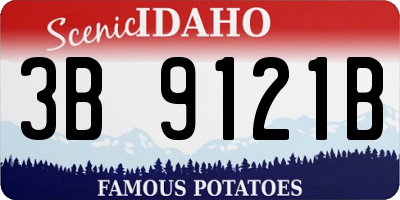 ID license plate 3B9121B