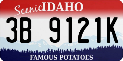 ID license plate 3B9121K