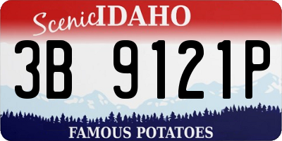ID license plate 3B9121P