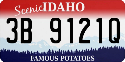 ID license plate 3B9121Q