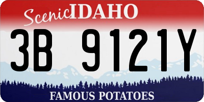 ID license plate 3B9121Y