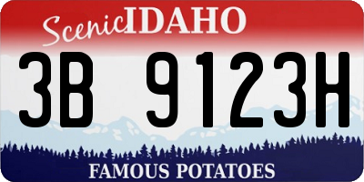 ID license plate 3B9123H