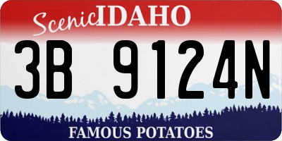 ID license plate 3B9124N