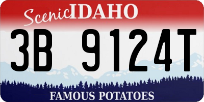 ID license plate 3B9124T