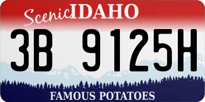 ID license plate 3B9125H