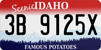 ID license plate 3B9125X