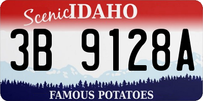 ID license plate 3B9128A