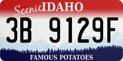 ID license plate 3B9129F