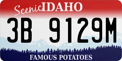 ID license plate 3B9129M