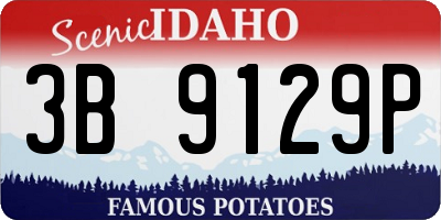 ID license plate 3B9129P