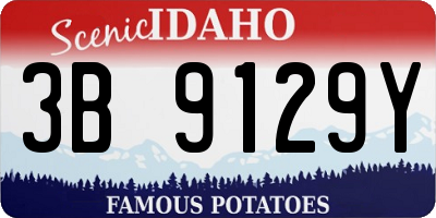 ID license plate 3B9129Y