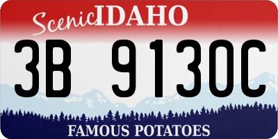 ID license plate 3B9130C