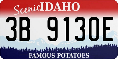 ID license plate 3B9130E