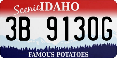 ID license plate 3B9130G
